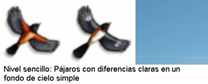Aves_2